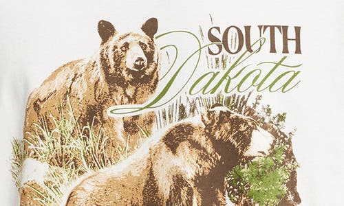 COTTON ON COTTON ON SOUTH DAKOTA COTTON GRAPHIC T-SHIRT