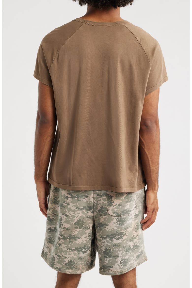 Raglan Sleeve T-Shirt, Alternate, color, BROWN