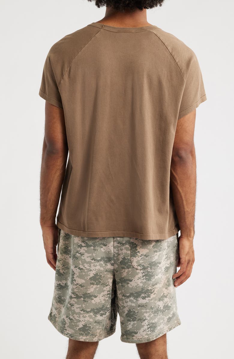 Elwood Raglan Sleeve T-Shirt, Alternate, color, Brown