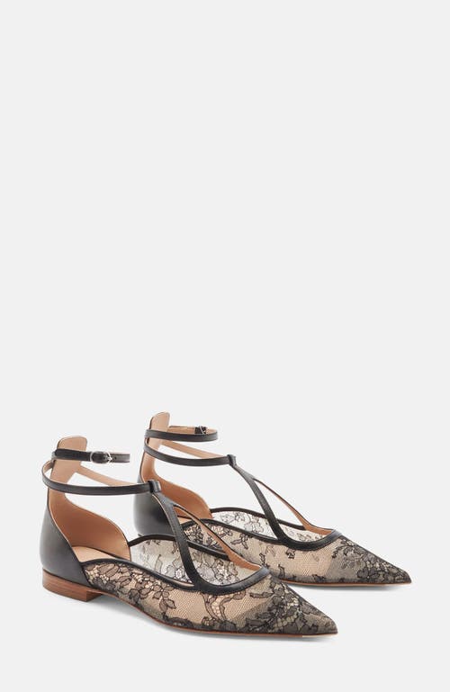Scarosso Gae Ballerinas
