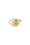 selected Yellow Canary