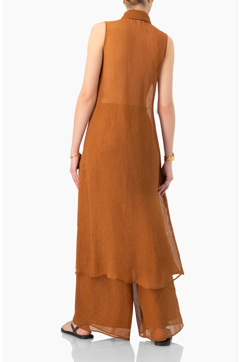 Sleeveless Collared Tunic, Alternate, color, Brown