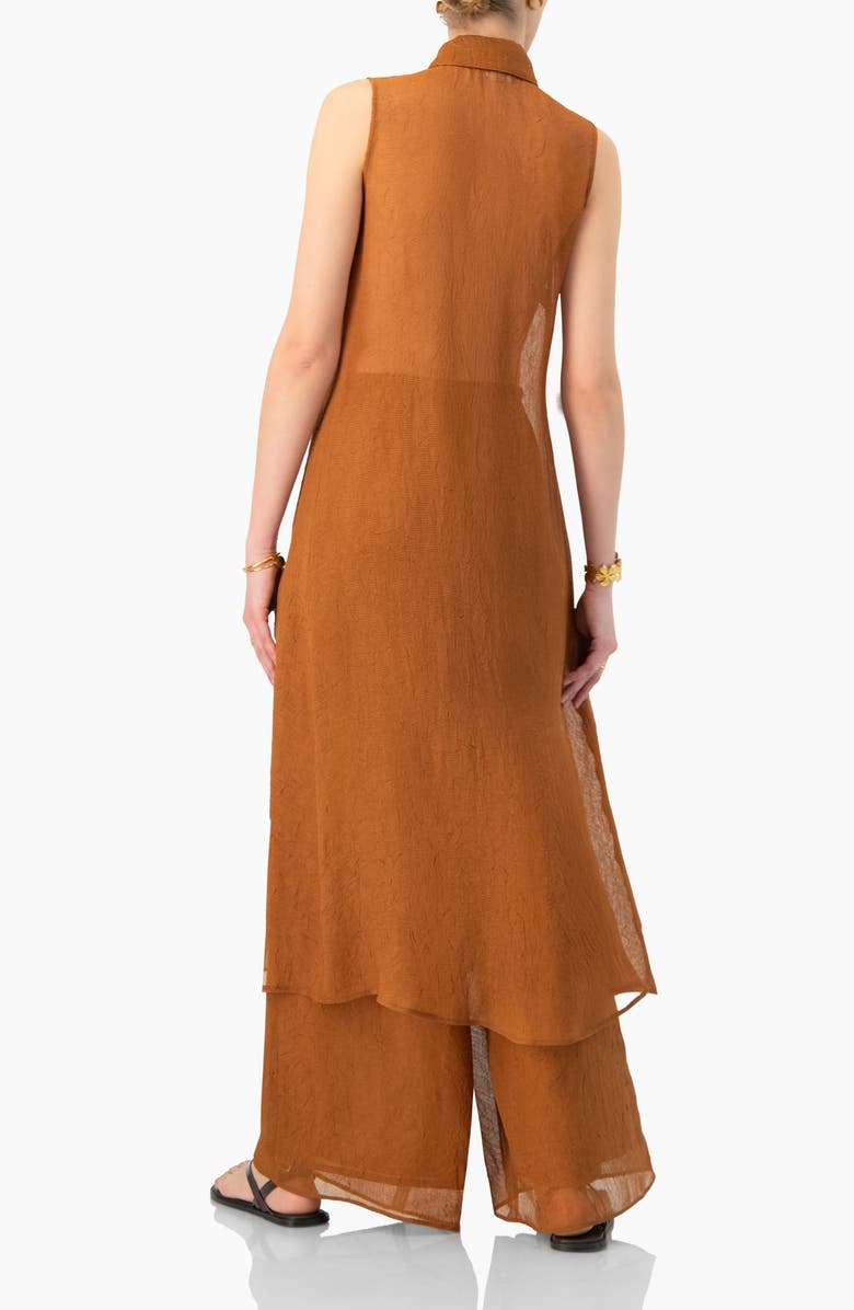 IVONNE Sleeveless Collared Tunic, Alternate, color, Brown