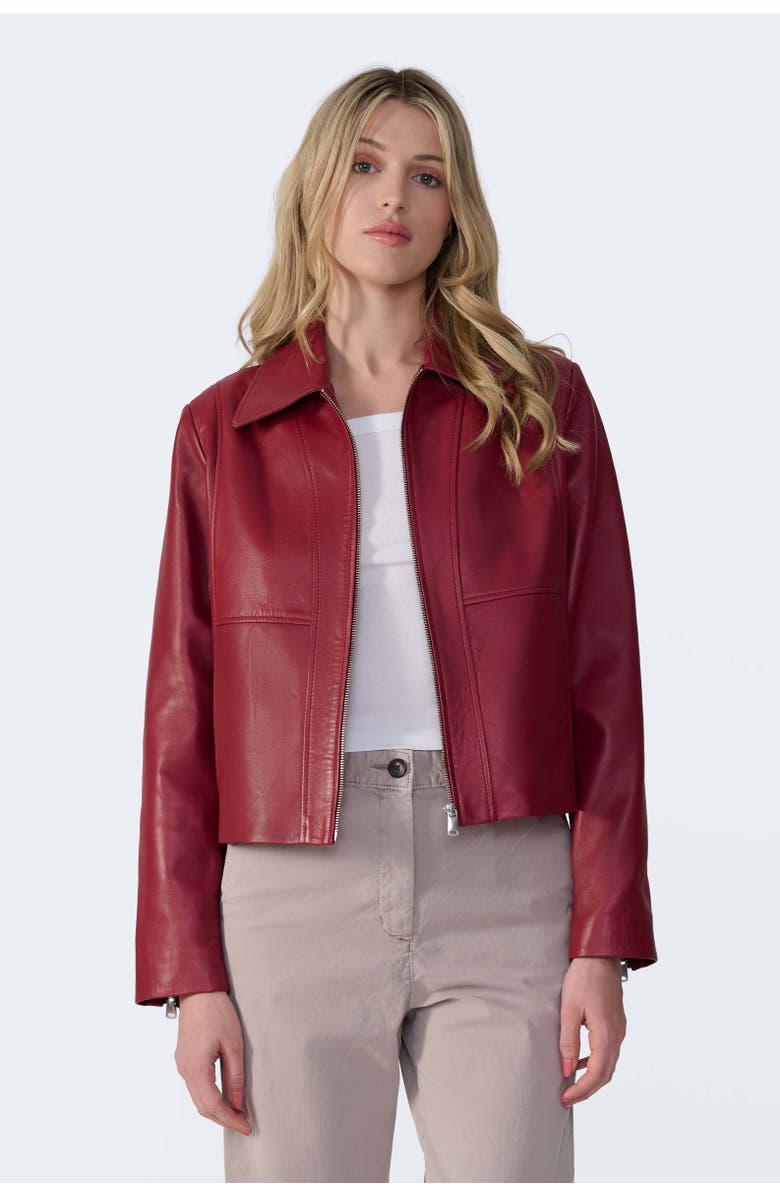 FURNIQ UK Daisy Leather Jacket, Alternate, color, Light Burgundy