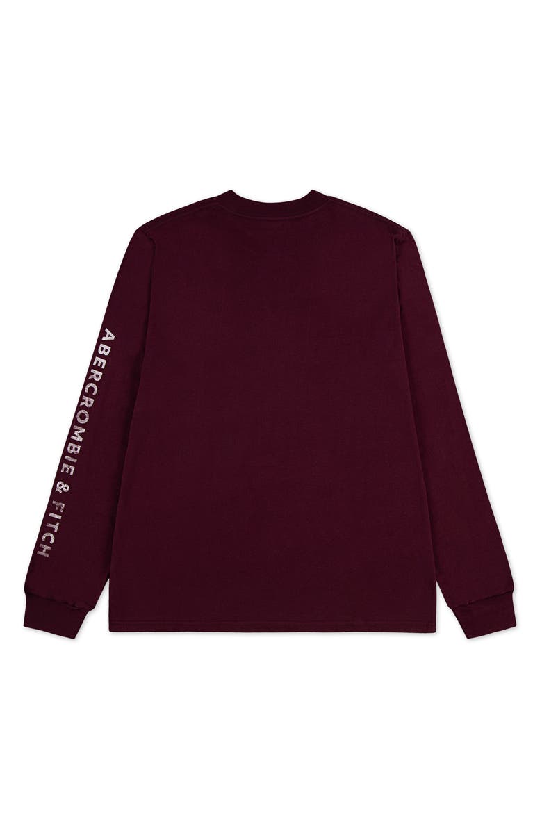 abercrombie kids Kids' Mountain Range Long Sleeve Graphic T-Shirt, Alternate, color, Fig