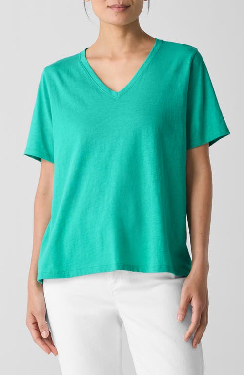 Eileen Fisher Easy V-neck Organic Cotton T-shirt In Jade