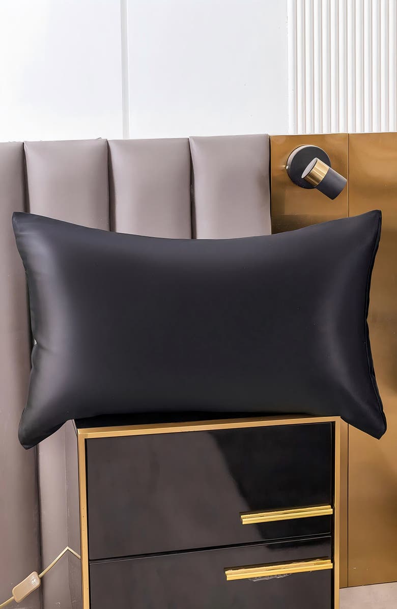 SILKSILKY Set of 2Pcs-22Momme Mulberry Silk Hidden Zipper Pillowcase, Alternate, color, 