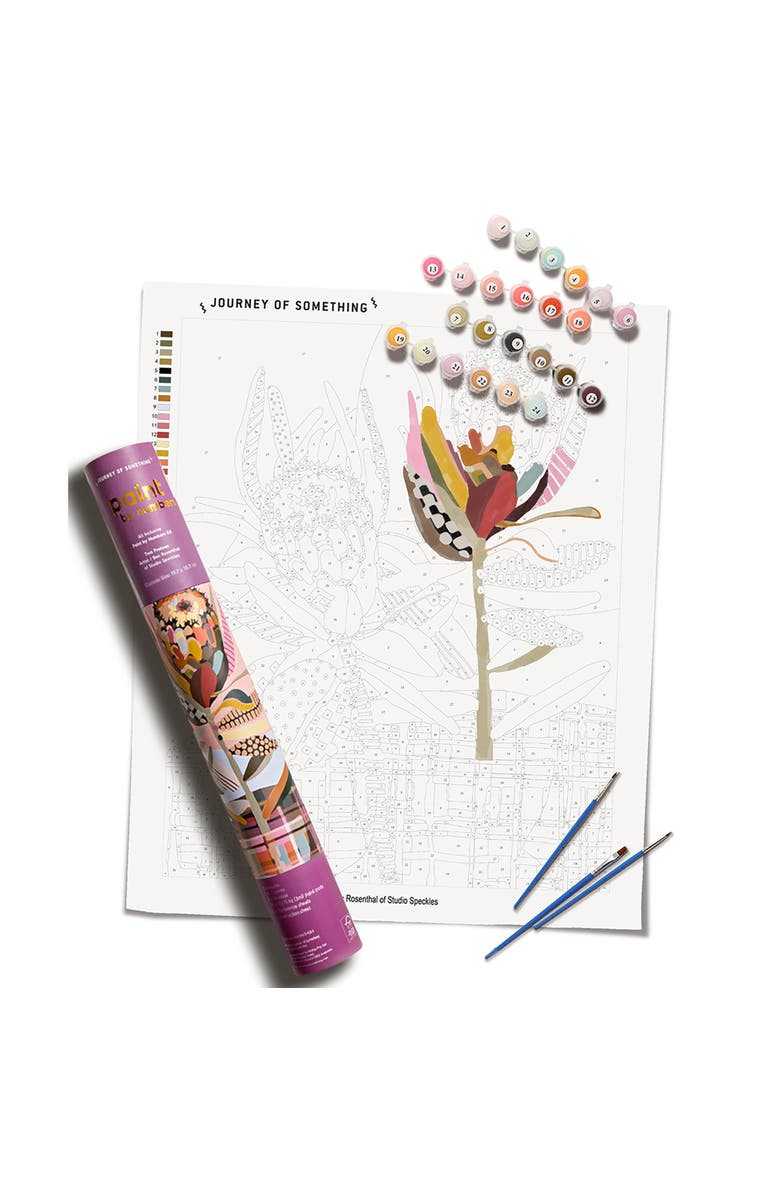 Journey of Something Paint By Numbers, Two Proteas, DIY Painting Craft Kit, Main, color, Multicolored