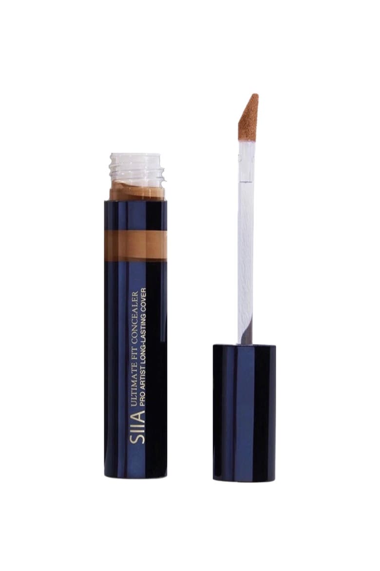 Ultimate Fit Concealer, Main, color, CHESTNUT