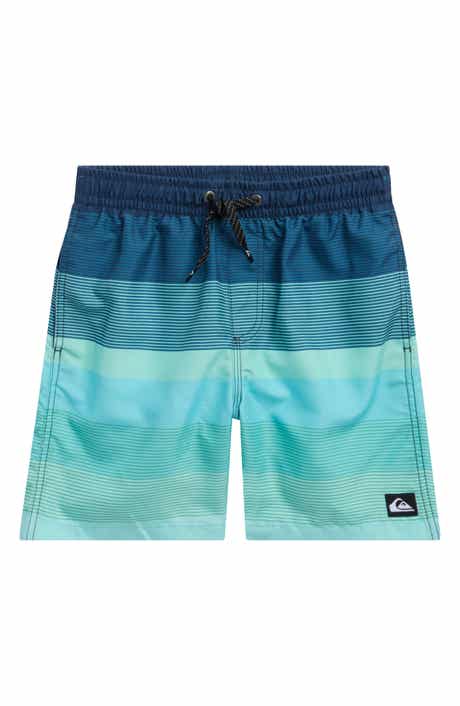 Quiksilver Kids' Everyday Mix Volley Swim Trunks