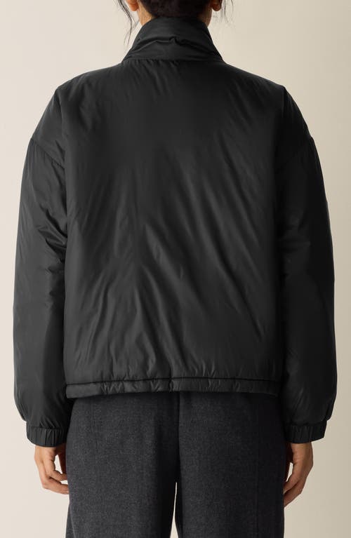 Eileen Fisher Stand Collar Puffer Jacket In Black