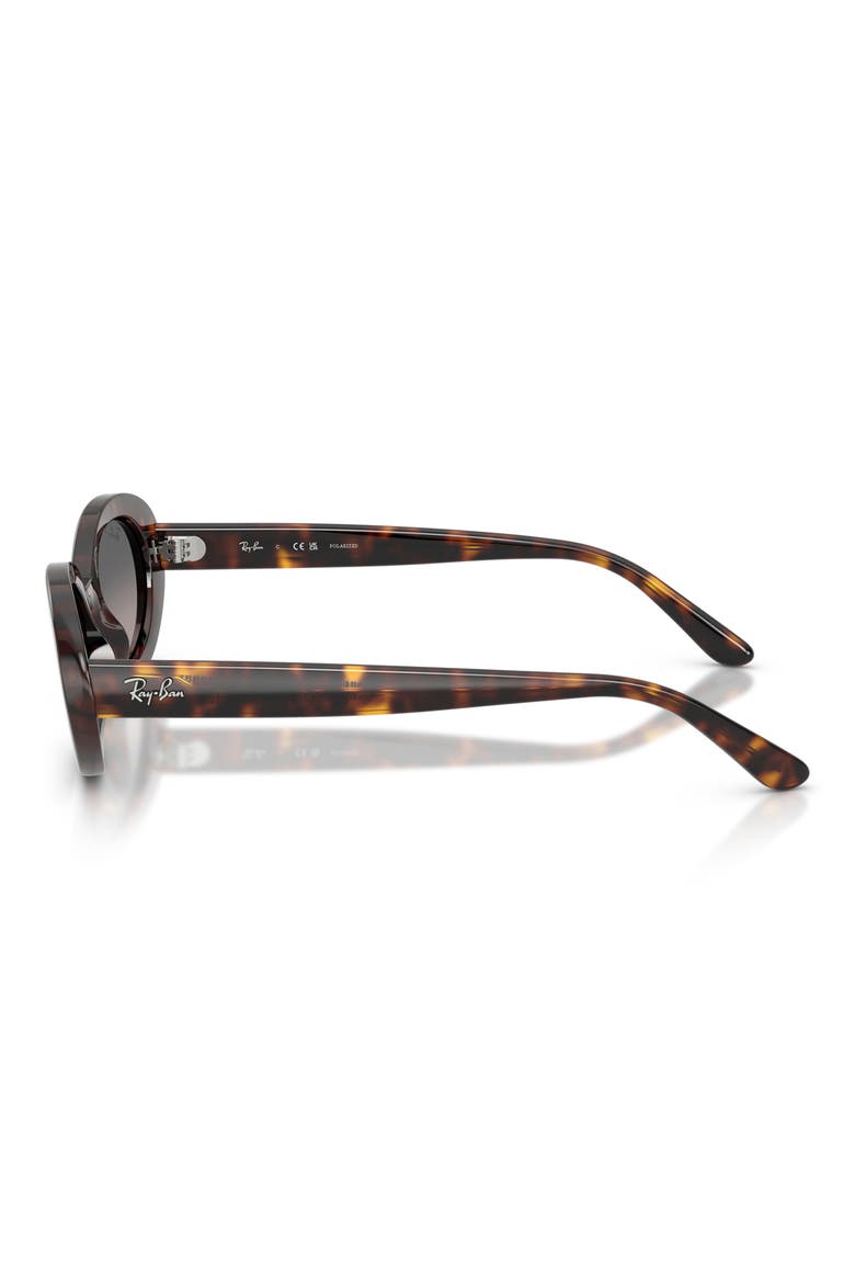54mm Gradient Polarized Oval Sunglasses, Alternate, color, HAVANA / GREY GRADIENT POLAR