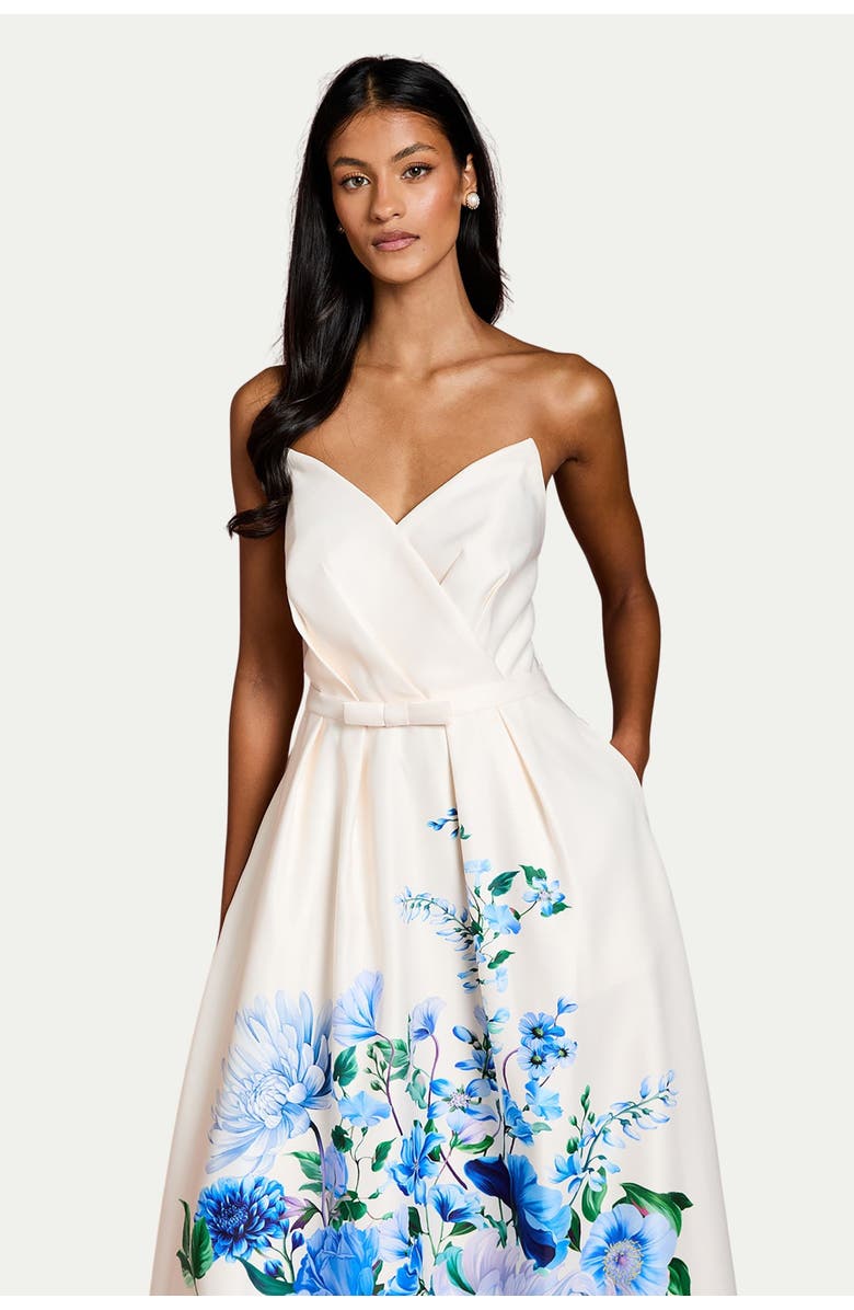 Coast Petite Bandeau Print Maxi Dress, Alternate, color, Blue