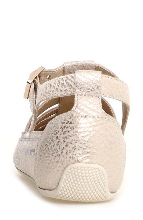 Candice Cooper Rock T-bar Fisherman Sandal In Platinum