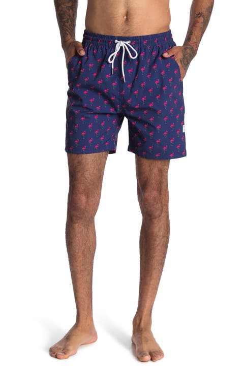 Flamingo Party Patterned Board Shorts
