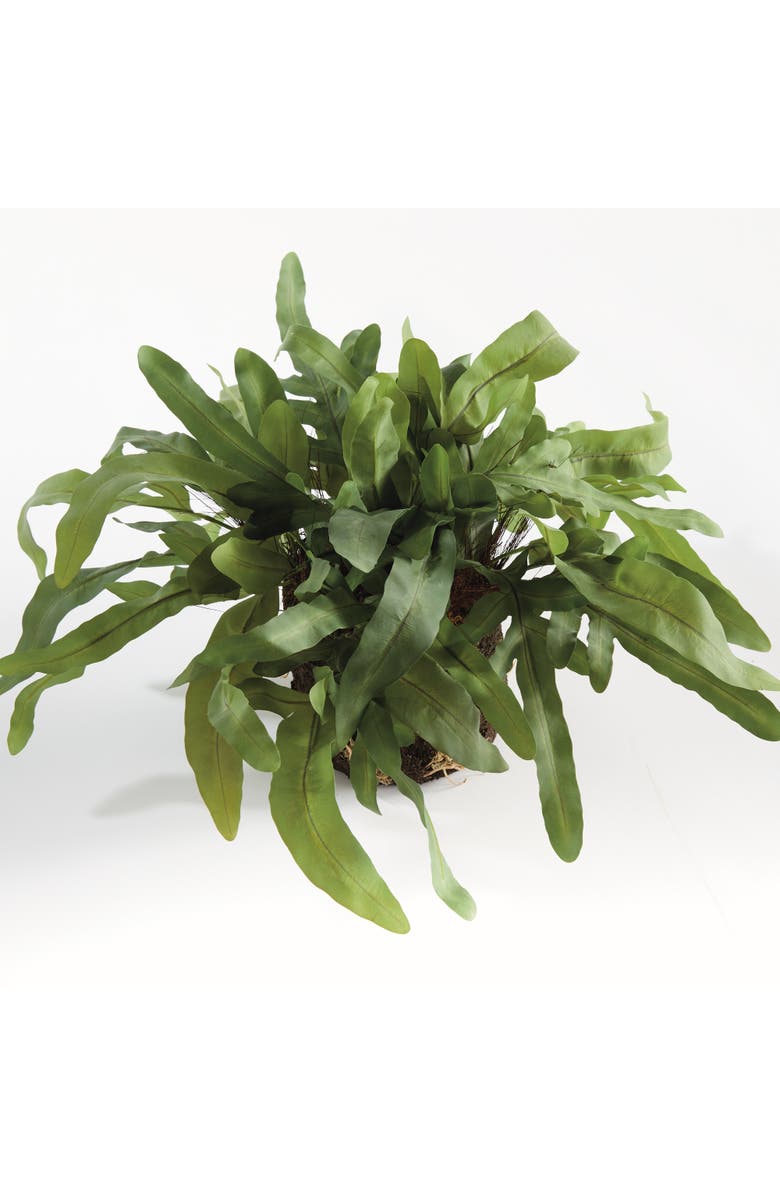 Napa Home & Garden Echeveria Fern Artificial Plant Drop-In, Alternate, color, Green