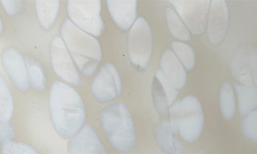 Tag Confetti Sandalwood Candle In White