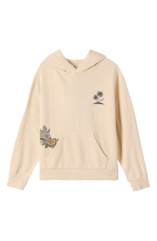 O'neill Kids' Asher Fleece Graphic Hoodie In Neutral