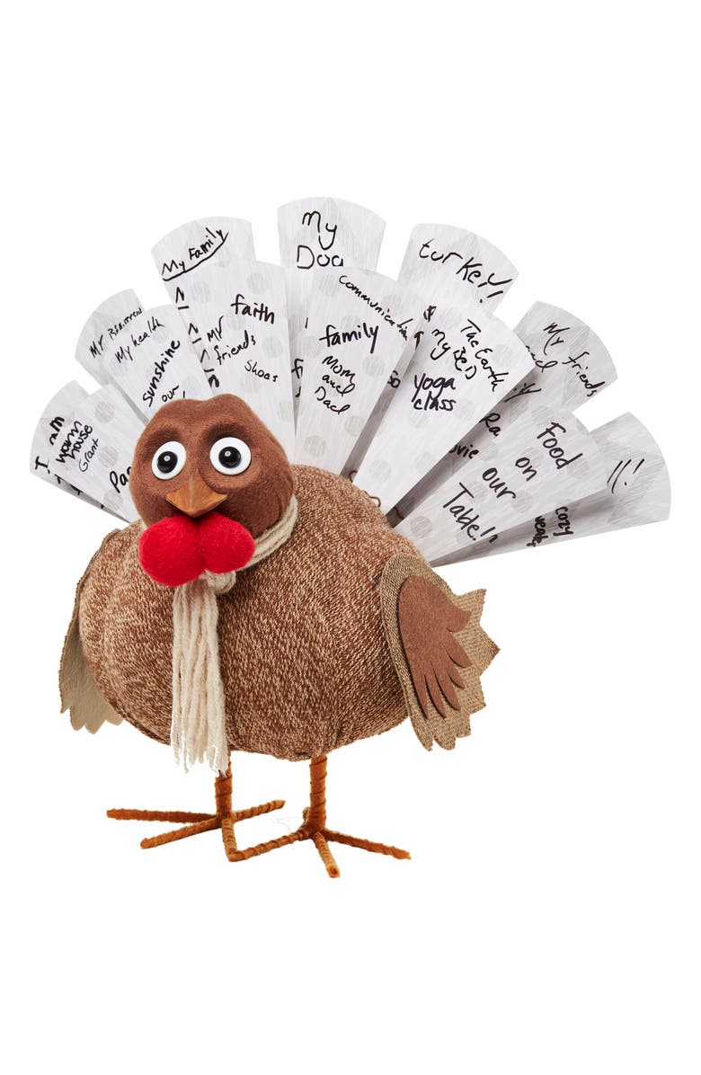 Turkey on the Table Turkey Activity Kit | Nordstromrack