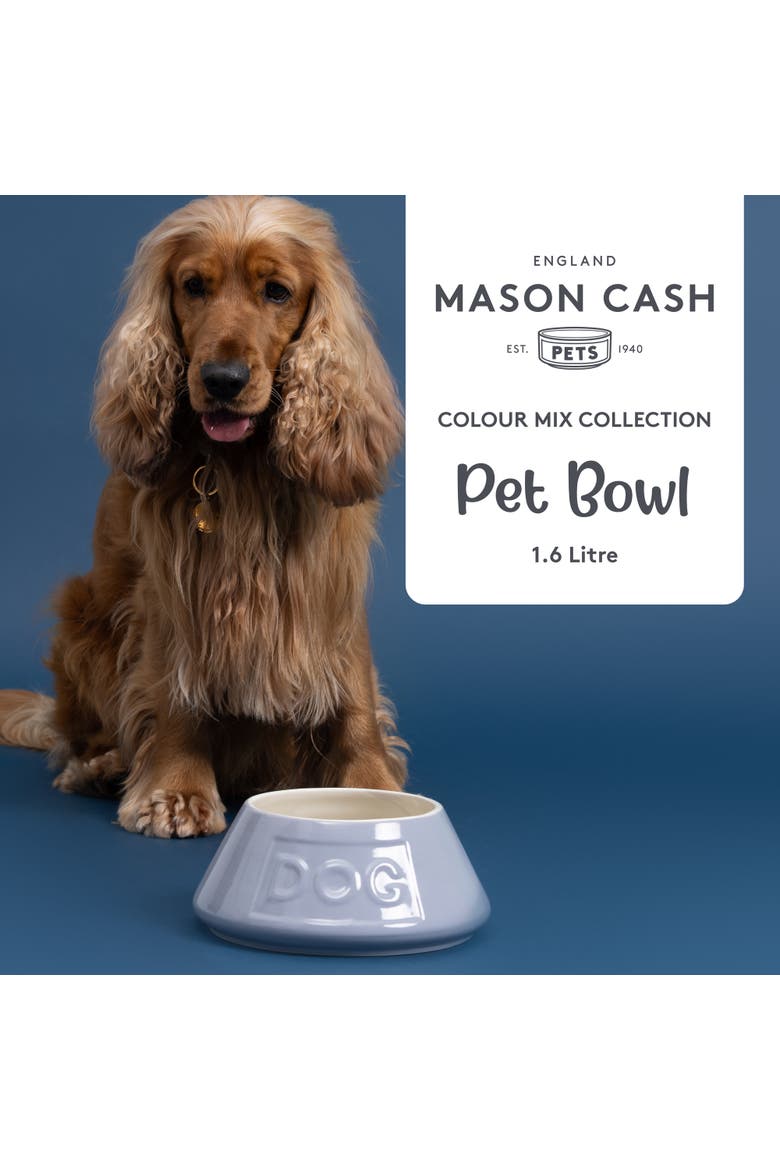Non Tip Dog Bowl,  8.3 Inch, 54oz, Food & Water Angled Dish, Alternate, color, Gray
