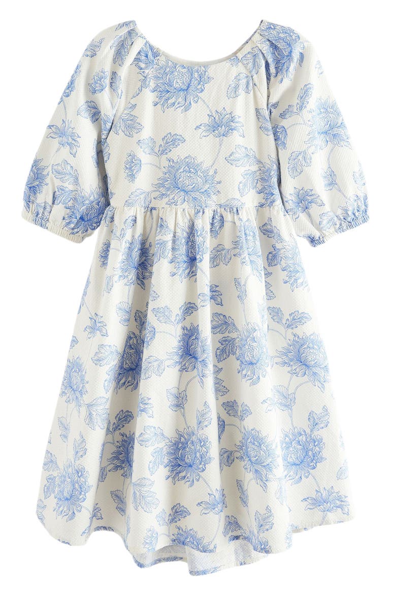 Kids' Floral Cotton Dobby Dress, Main, color, IVORY/ BLUE FLORAL