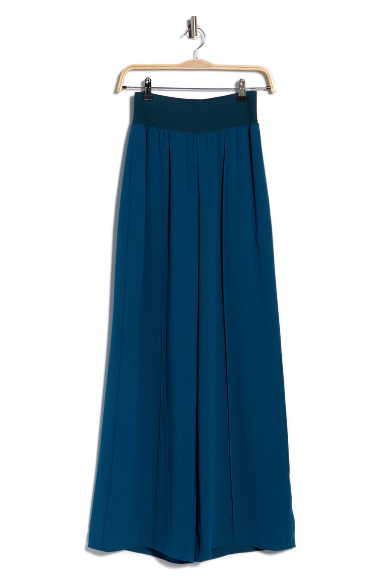 Wide Leg Pants, Alternate, color, TEAL BLUE