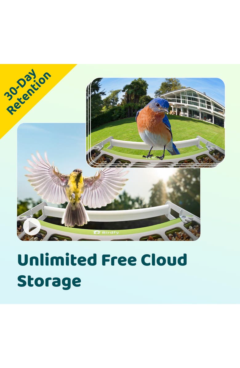 Birdfy Smart Metal Bird Feeder Lite with Camera, Alternate, color, Green