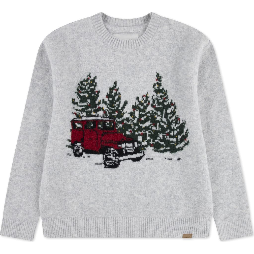 Abercrombie Little And Big Boys Truck Crew Sweater In Gray