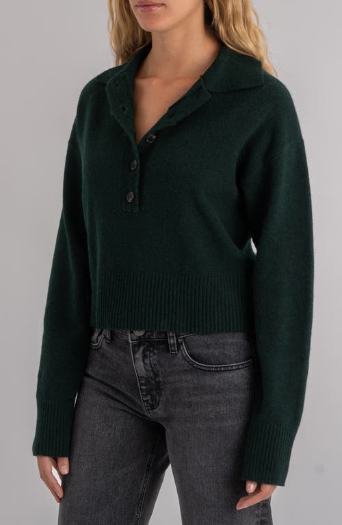 Kut From The Kloth Lilia Boxy Half Button Sweater In Green