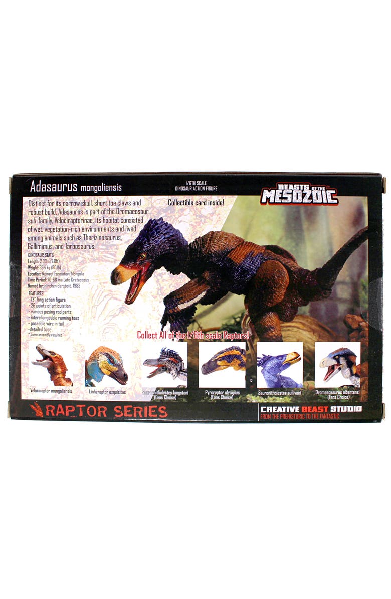 Beasts of the Mesozoic Adasaurus Mongoliensis, Alternate, color, Multicolored