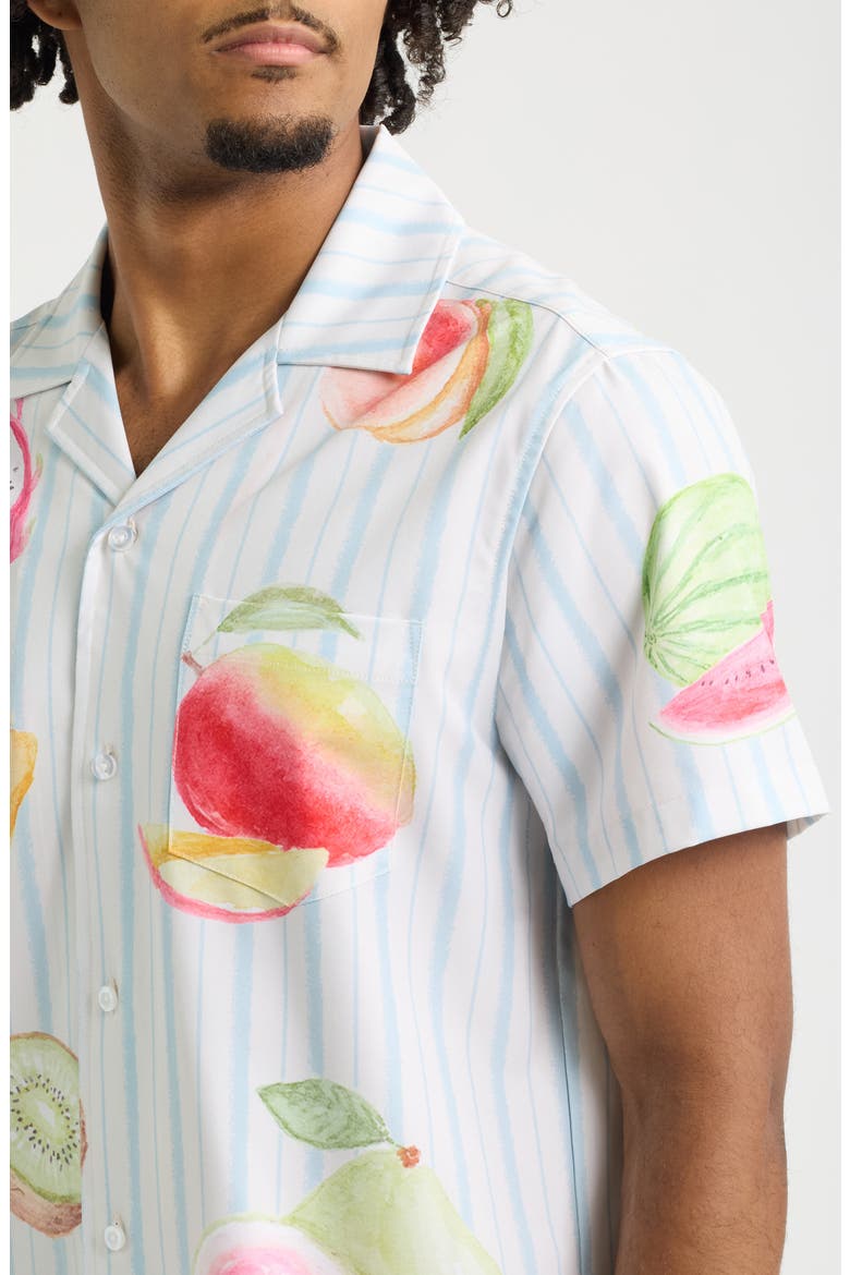 Freshly Picked Weekend Camp Shirt, Alternate, color, BLUE