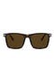 selected Havana/ Polarized Brown