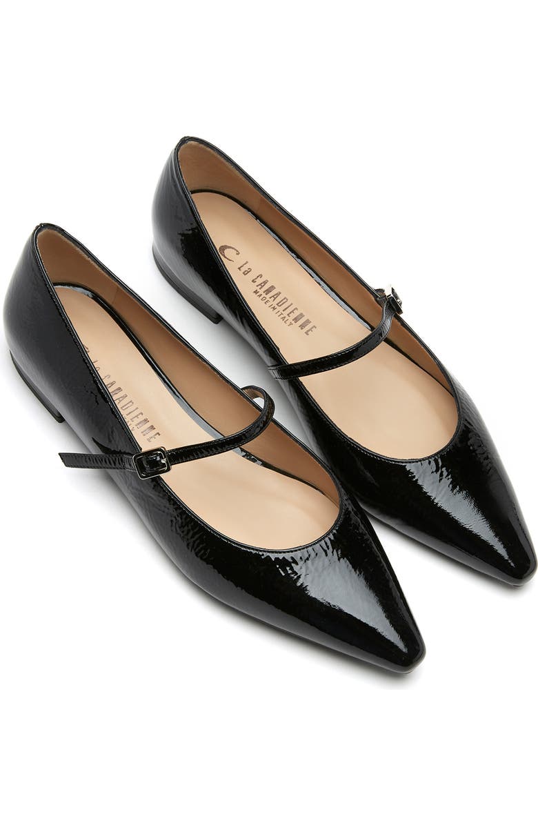 La Canadienne Fritz Pointed Toe Mary Jane Flat, Alternate, color,