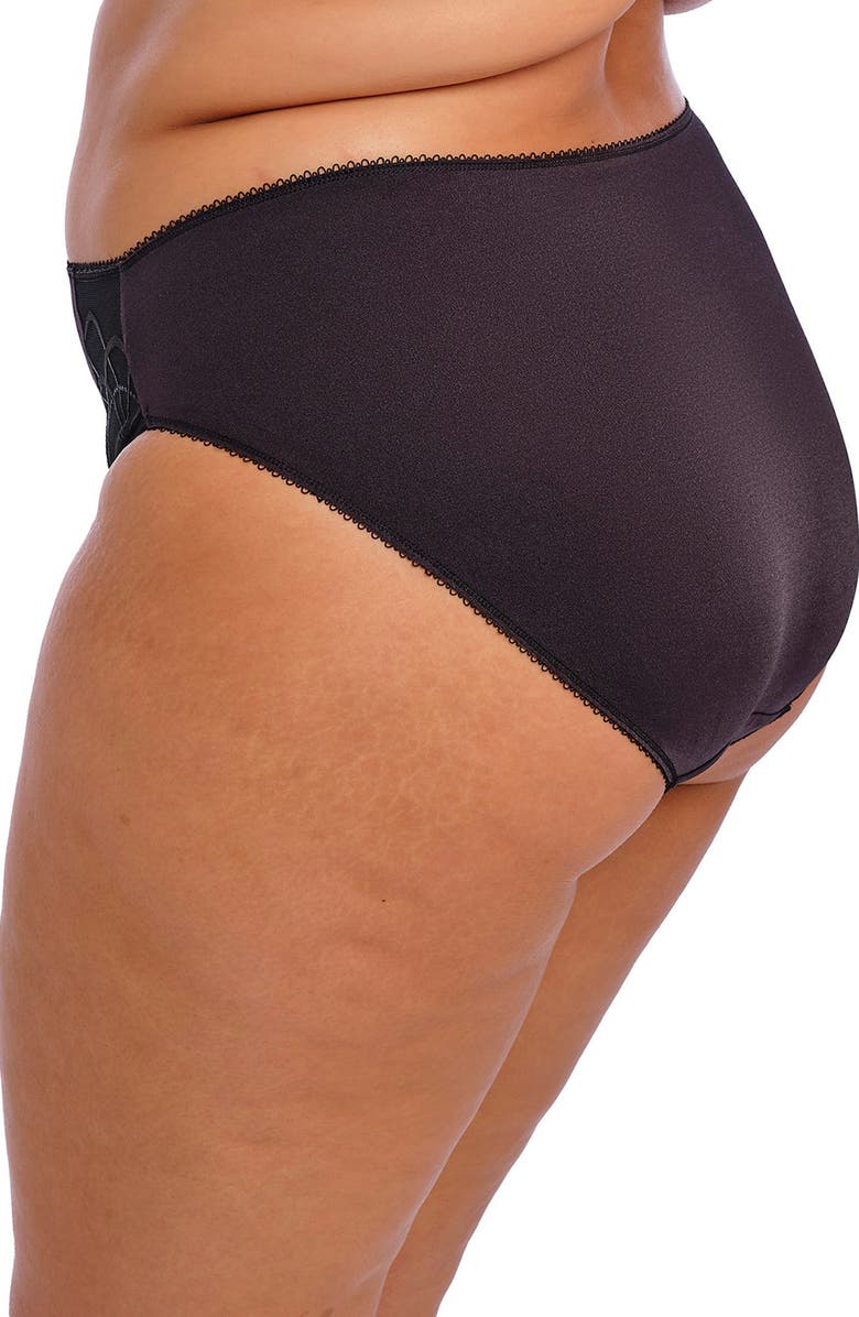 Elomi Cate Full Figure Briefs, Alternate, color, Black