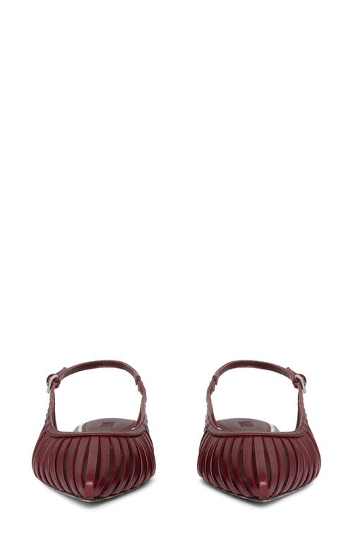 Paige Tera Pointed Toe Slingback Flat In Brown