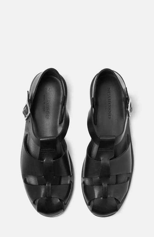 Scarosso Apollo Buckle-fastened Sandals In Black