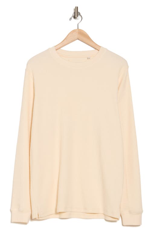 James Campbell Pione Pullover