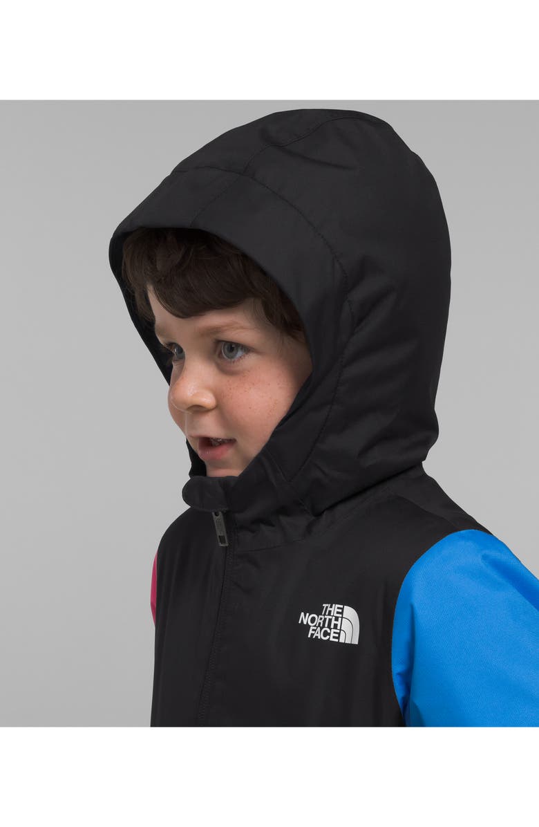 The North Face Kids' Freedom Insulated Waterproof Hooded Jacket, Alternate, color, 