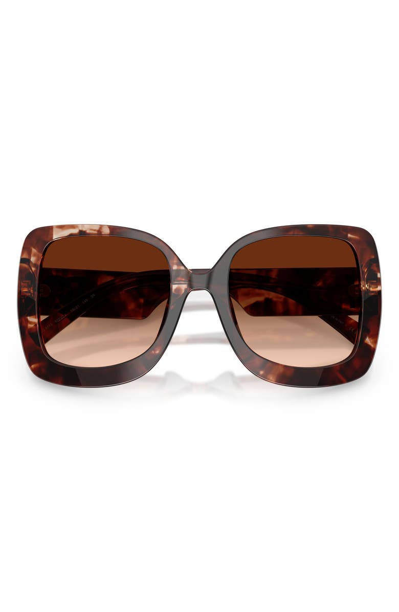 Dolce&Gabbana 55mm Gradient Square Sunglasses, Alternate, color, Dark Red Havana / Brown