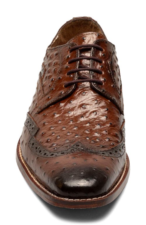 Stacy Adams Gennaro Wingtip Derby In Cognac