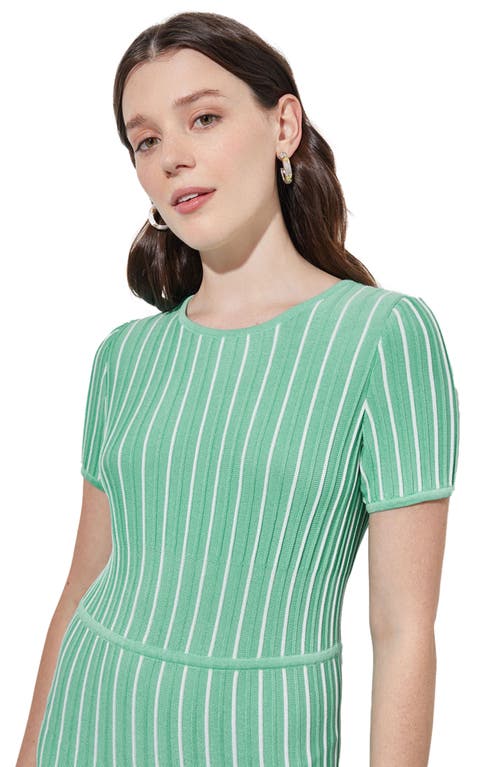 Ming Wang Modern Fit Stripe A-line Knit Dress In Green