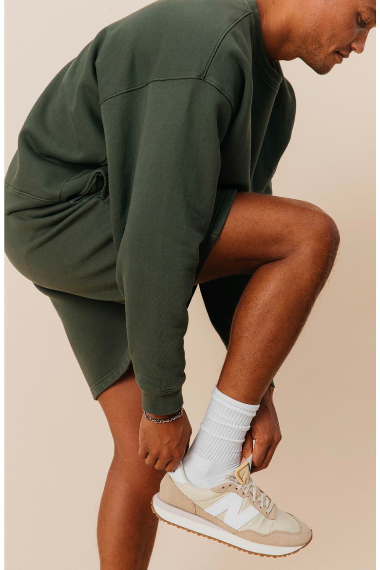 Men's Organic Cotton Teddy Everywhere Shorts, Alternate, color, Spruce
