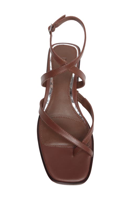 Paige Reese Ankle Strap Sandal In Brown