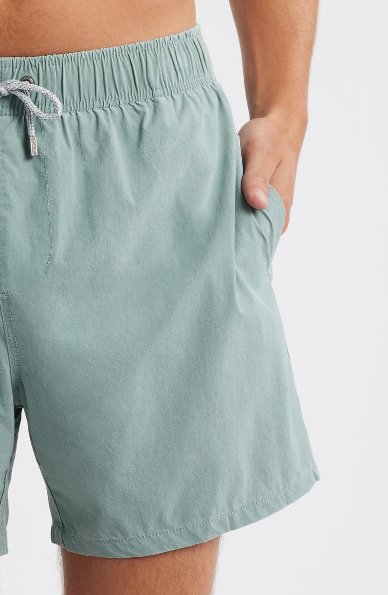 Vintage Summer Volley Swim Trunks, Alternate, color, Sage