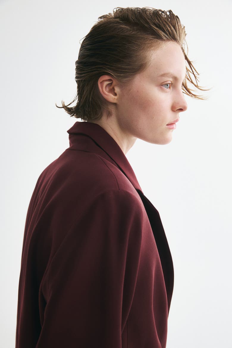Single-breasted Blazer, Alternate, color, Burgundy