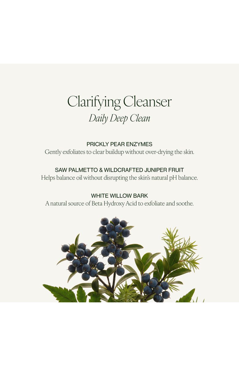 Tata Harper Skincare Clarifying Cleanser, Alternate, color, 