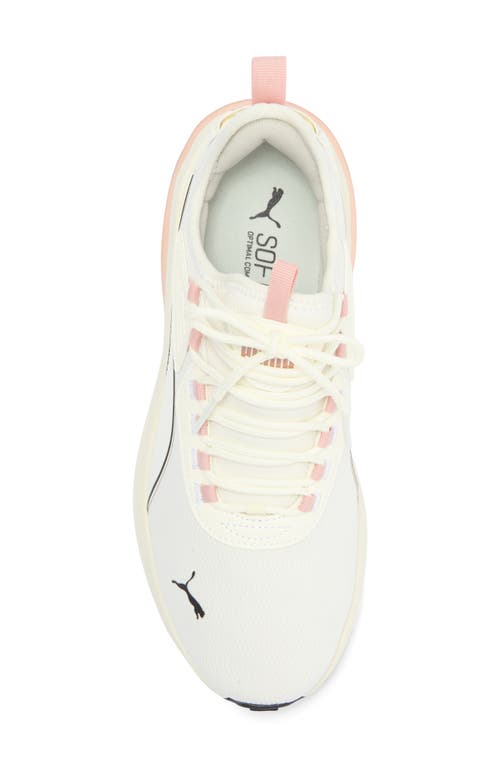 Puma Amplifier Soft Sneaker In Warm White- Black-rose