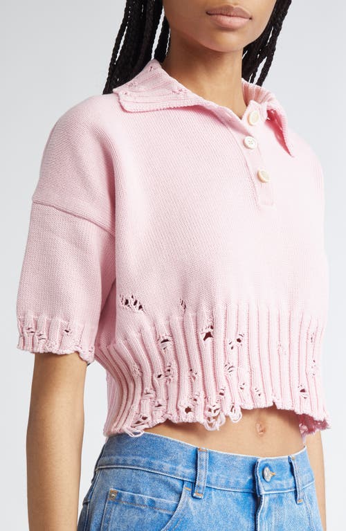 Shop Marni Distressed Cotton Polo Sweater In Pink