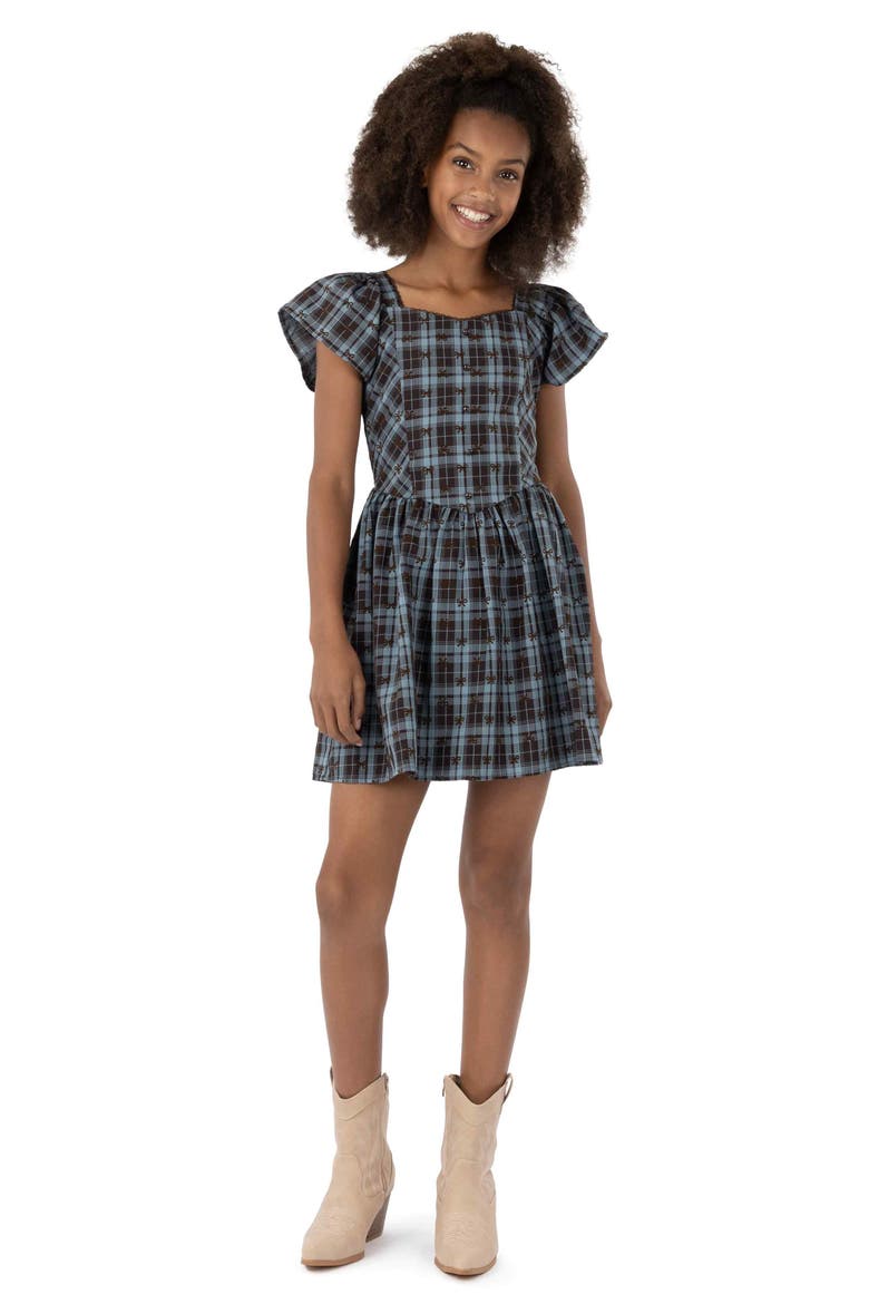 Kids' Flocked Plaid Drop Waist Dress, Alternate, color, BROWN/ AQUA JM