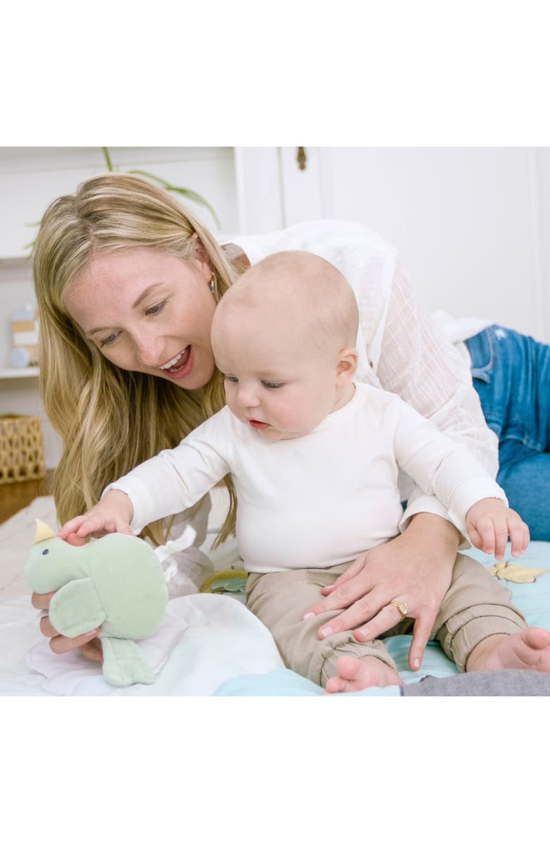 aden + anais Baby Bonding Playmat, Alternate, color, 